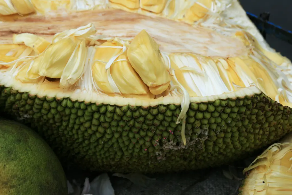 benefits of eating jackfruit on the keto diet