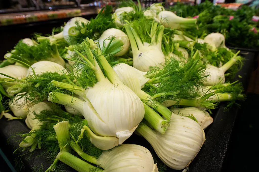 facts about fennel
