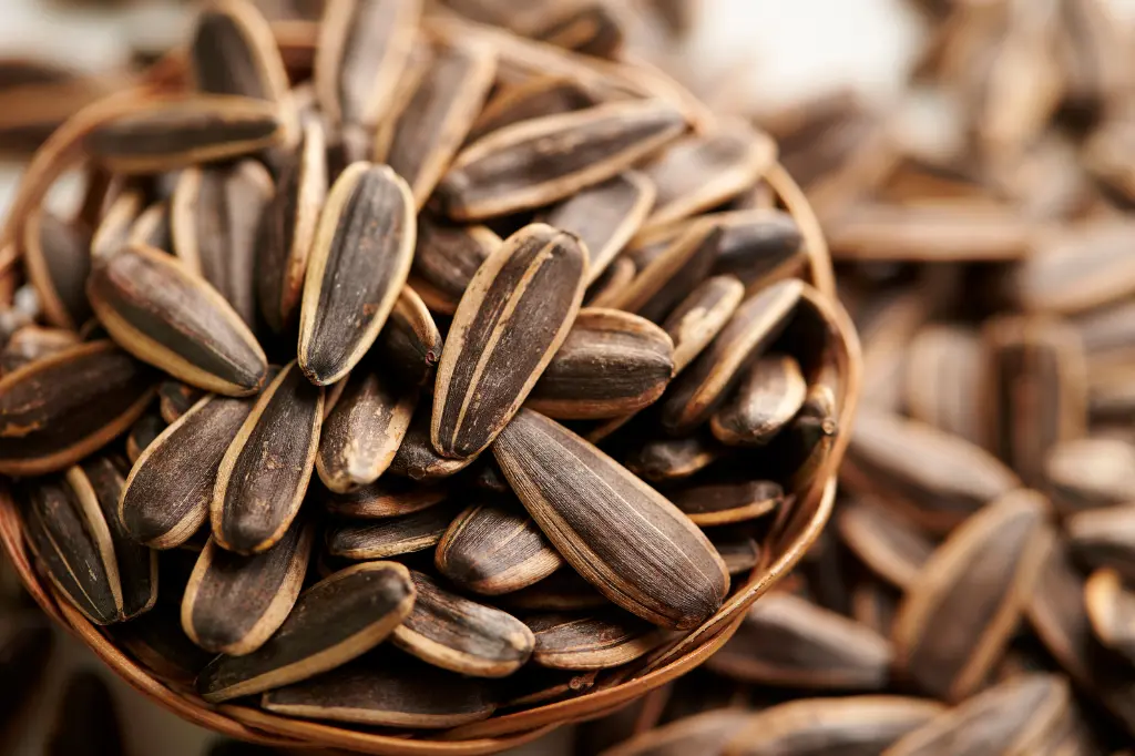 whether sunflower seeds are keto friendly or not