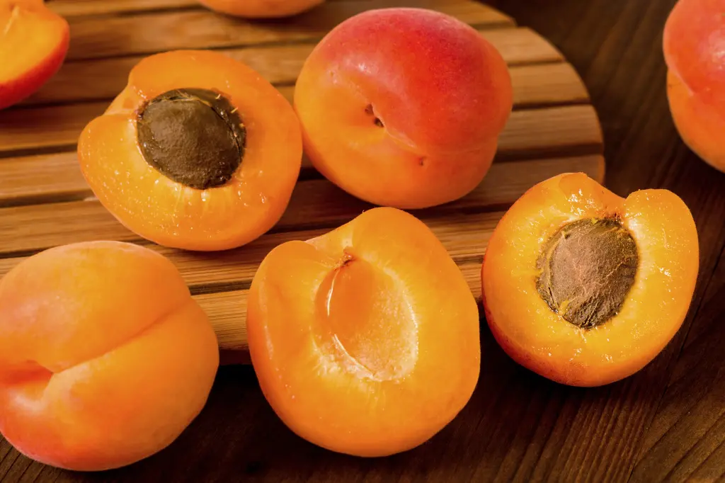 health benefits of apricot