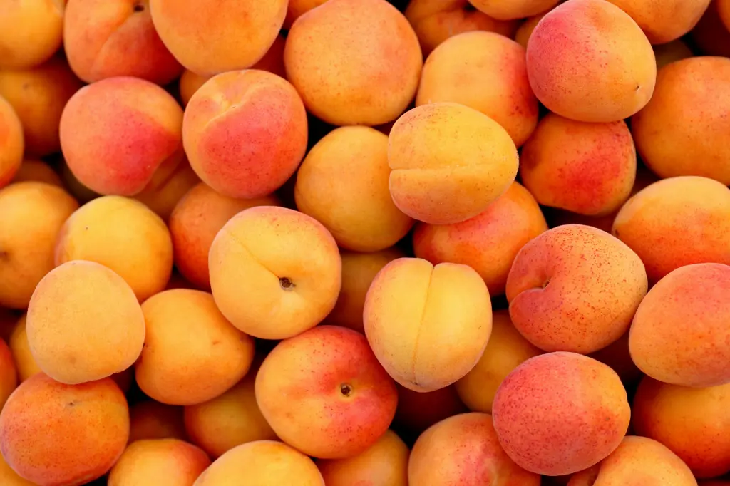 is apricot keto friendly