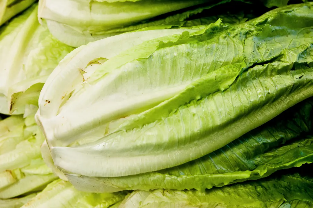 is romaine lettuce keto friendly