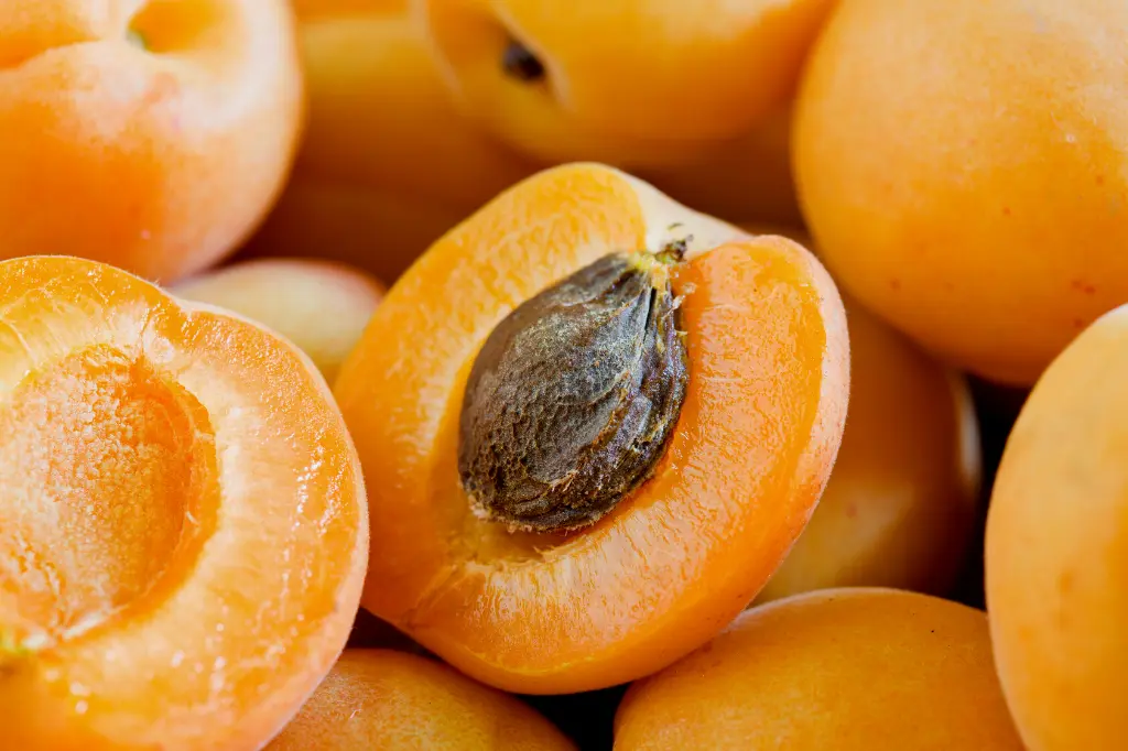 nutritional values of apricot